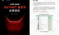SKYNET:《2025上半年稳定市全景报告》（免费下载）