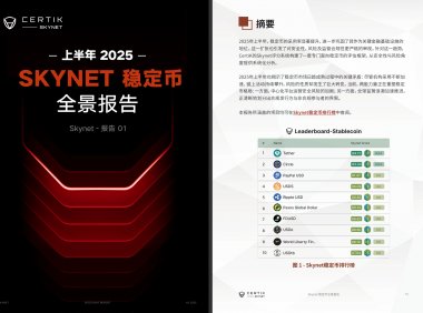SKYNET:《2025上半年稳定市全景报告》（免费下载）